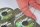 Korda N-Trap Soft Gravel 9,1 kg - 20 lb