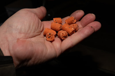 Long Baits - Orange Spice Stixxx 6mm