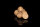 Long Baits - Banana Fish Boilies 20mm 5 kg