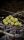 Long Baits - Citrella Boilies Kissenform